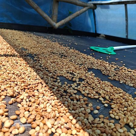 Casa Entera Finca Cometa San Agustin  Ngoại thất bức ảnh