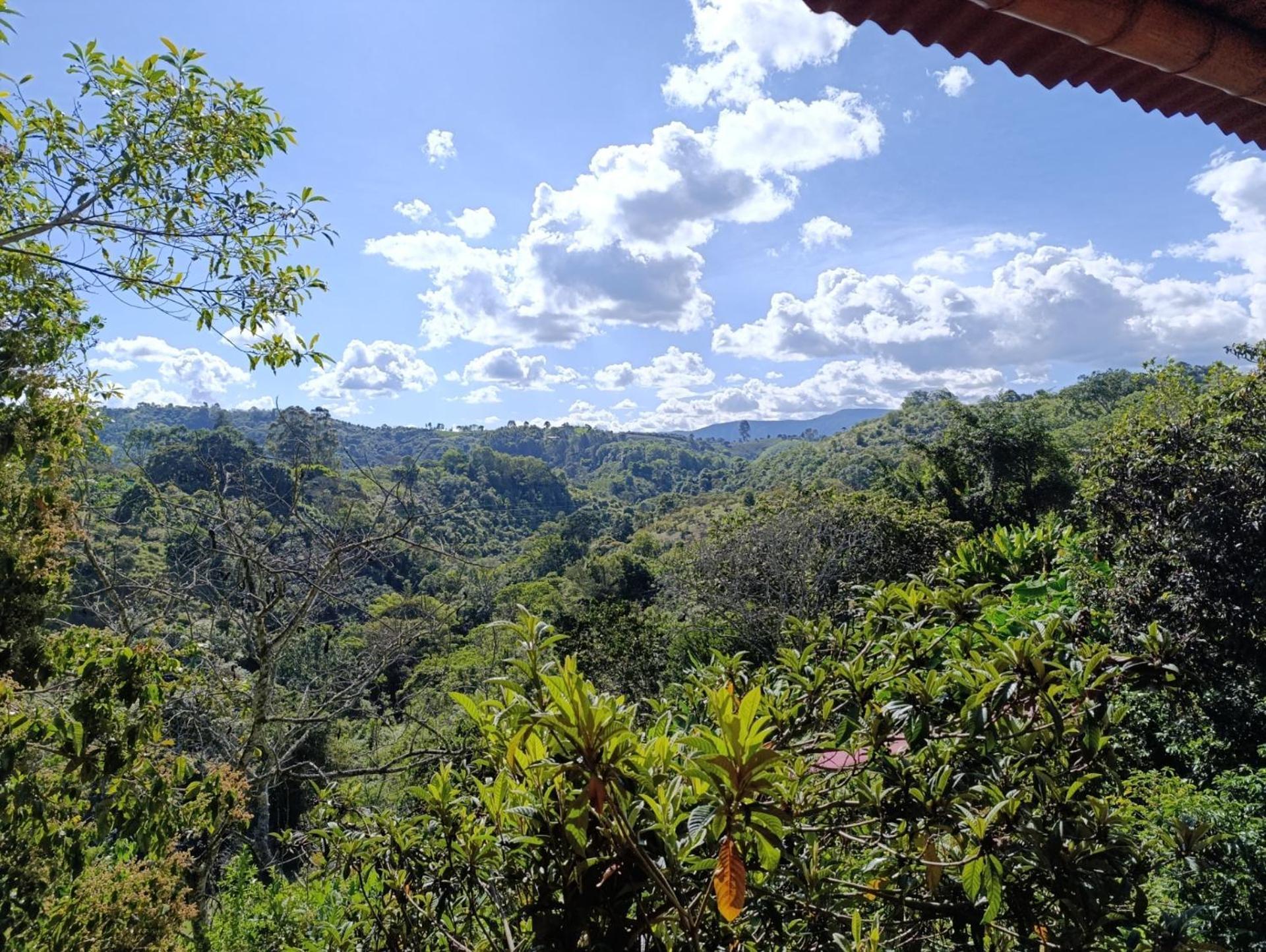 Casa Rural Finca Cometa Villa San Agustin  Ngoại thất bức ảnh