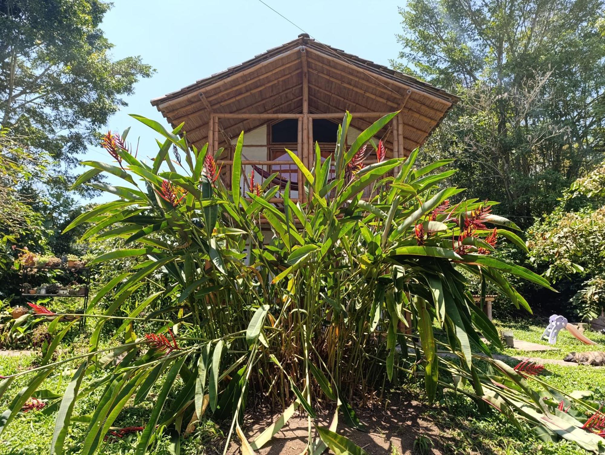 Casa Entera Finca Cometa San Agustin  Ngoại thất bức ảnh