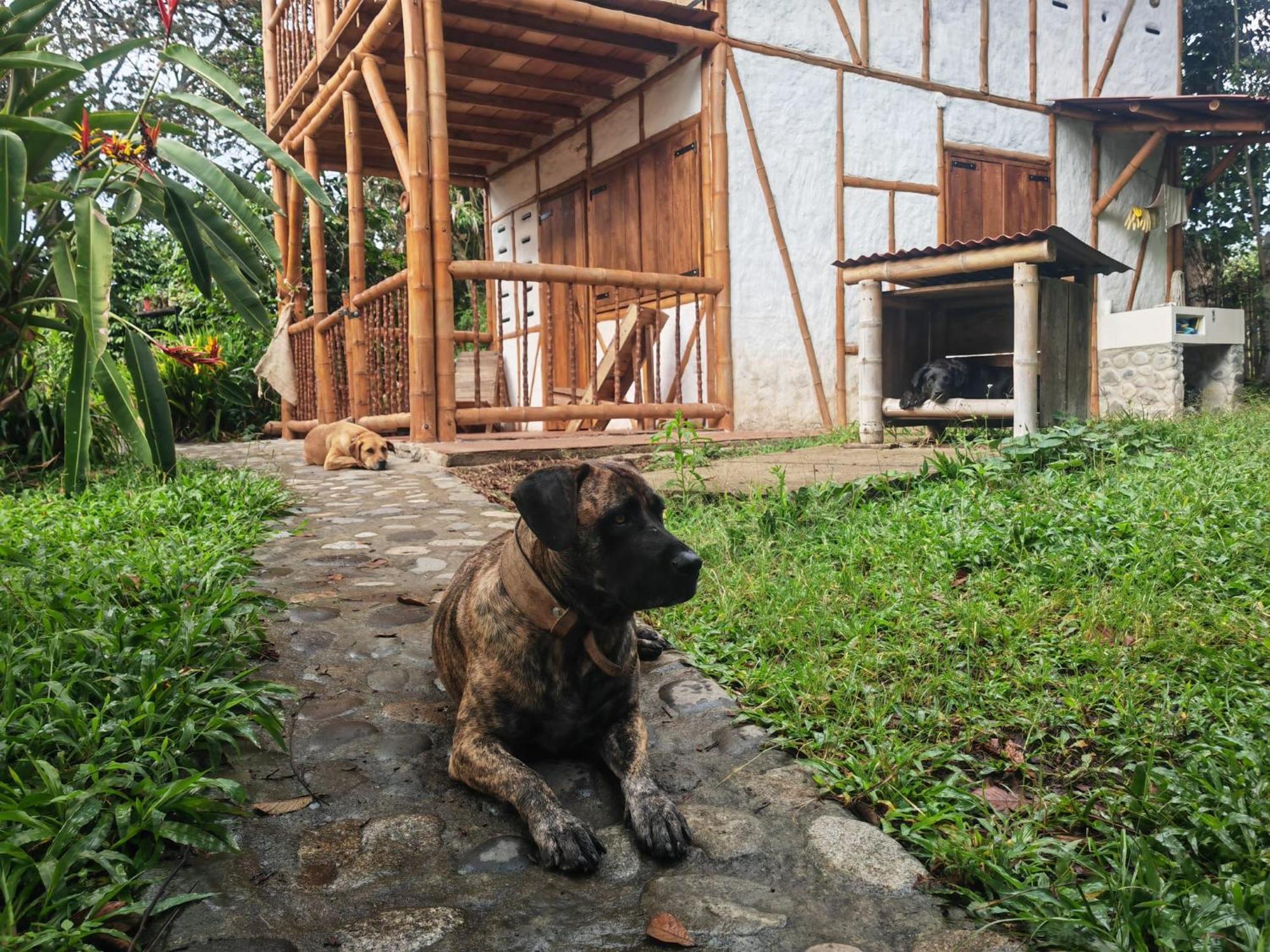 Casa Entera Finca Cometa San Agustin  Ngoại thất bức ảnh