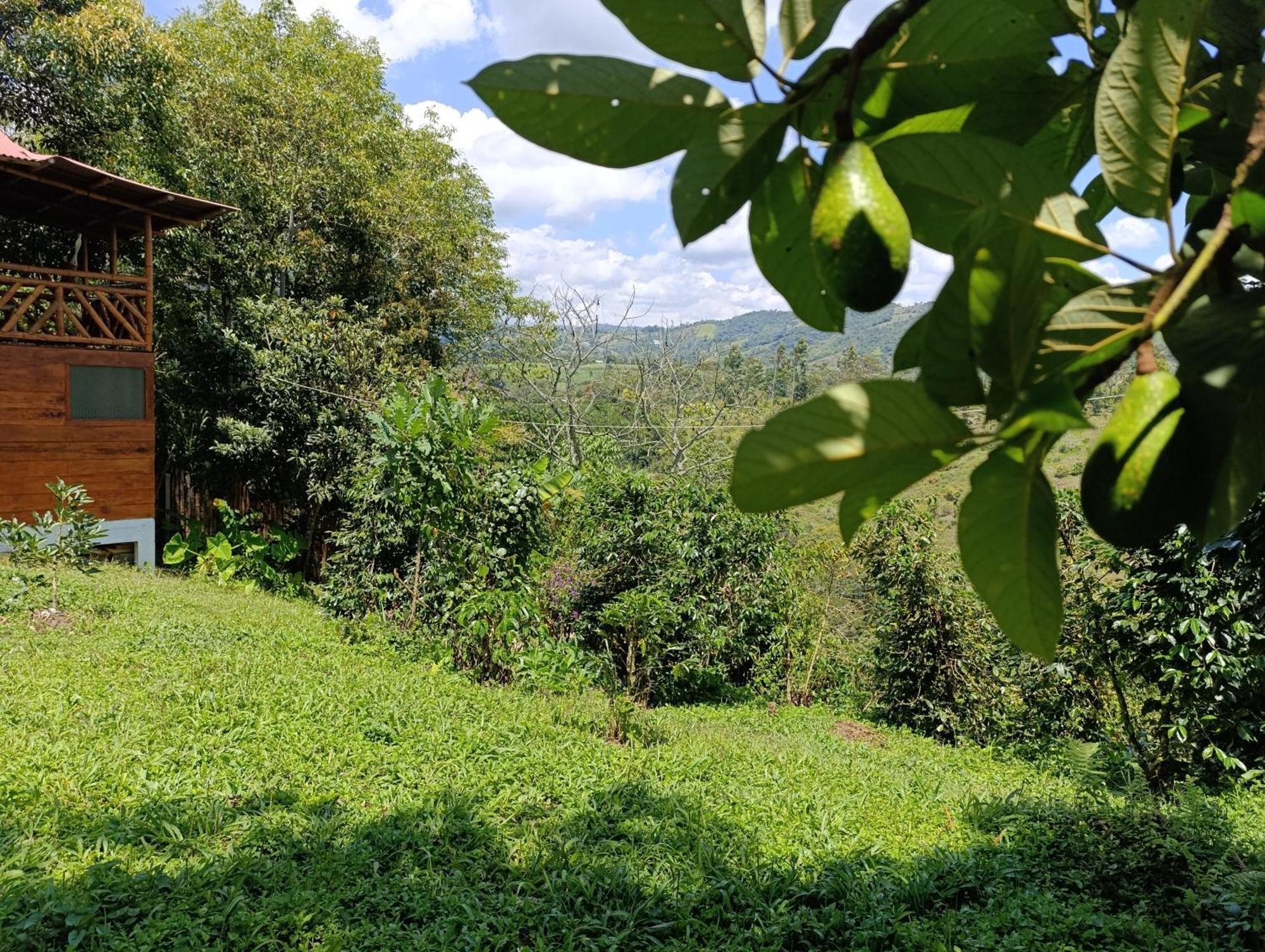Casa Entera Finca Cometa San Agustin  Ngoại thất bức ảnh