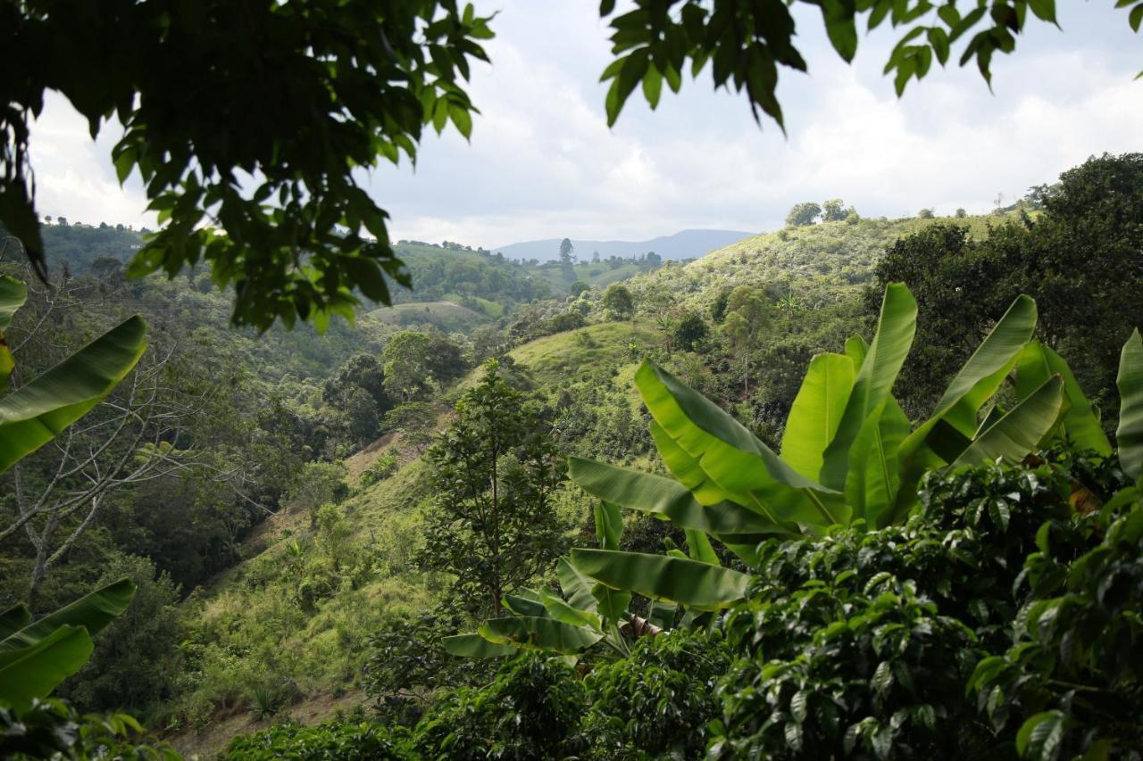 Casa Entera Finca Cometa San Agustin  Ngoại thất bức ảnh